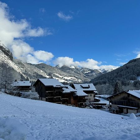 Appartement Cosy Proche Chatel Portes Du Soleil - Linge Inclus Abondance Exterior photo